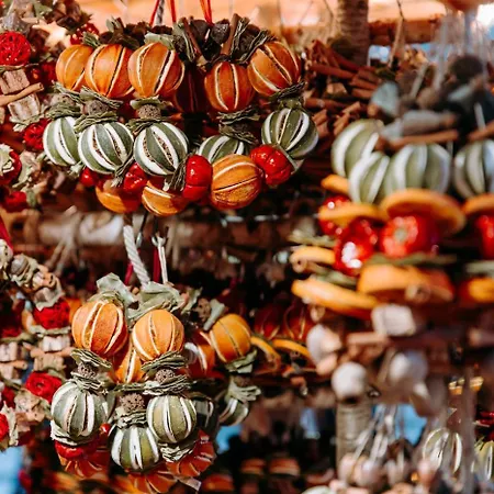 Skyvibe Penthouse Bpcentral *